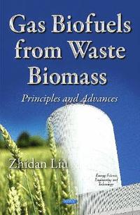 bokomslag Gas Biofuels from Waste Biomass