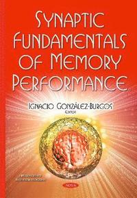 bokomslag Synaptic Fundamentals of Memory Performance
