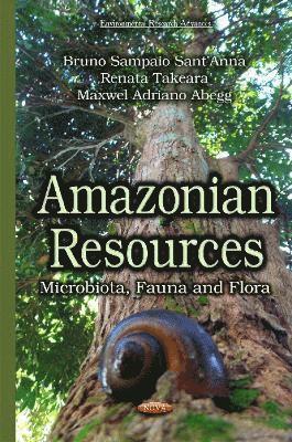 bokomslag Amazonian Resources