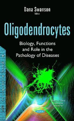 bokomslag Oligodendrocytes