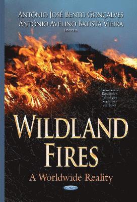 Wildland Fires 1