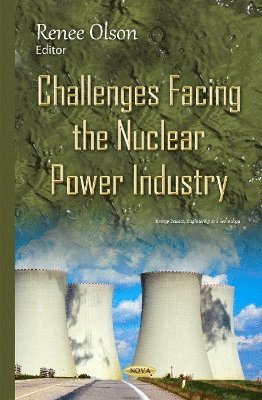 bokomslag Challenges Facing the Nuclear Power Industry