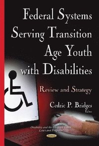 bokomslag Federal Systems Serving Transition Age Youth with Disabilities