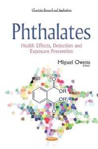 bokomslag Phthalates