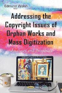 bokomslag Addressing the Copyright Issues of Orphan Works & Mass Digitization