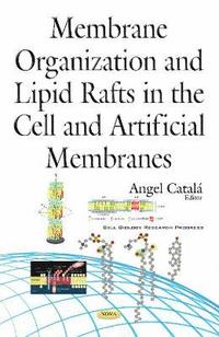 bokomslag Membrane Organization & Lipid Rafts in the Cell & Artificial Membranes