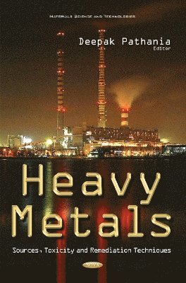 bokomslag Heavy Metals