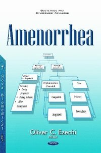 bokomslag Amenorrhea