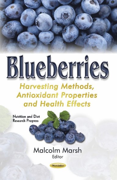 bokomslag Blueberries