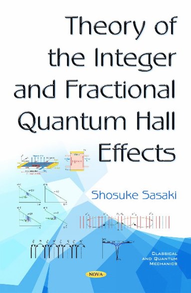 bokomslag Theory of the Integer & Fractional Quantum Hall Effects
