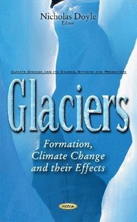 bokomslag Glaciers