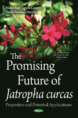 bokomslag Promising Future of Jatropha Curcas