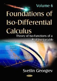 bokomslag Foundations of Iso-Differential Calculus