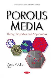 bokomslag Porous Media