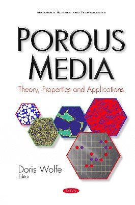 bokomslag Porous Media