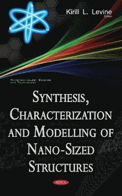 bokomslag Synthesis, Characterization & Modelling of Nano-Sized Structures