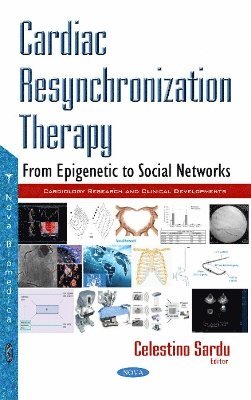 bokomslag Cardiac Resynchronization Therapy