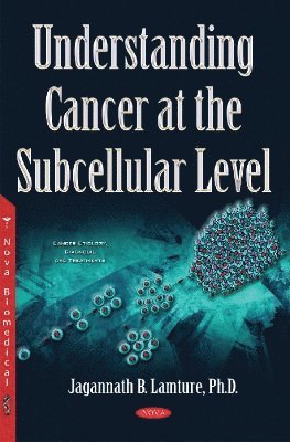 bokomslag Understanding Cancer at the Subcellular Level