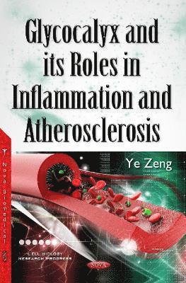 Glycocalyx & its Roles in Inflammation & Atherosclerosis 1