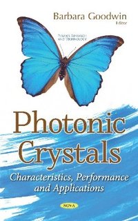 bokomslag Photonic Crystals