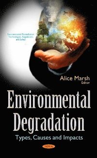 bokomslag Environmental Degradation