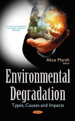 bokomslag Environmental Degradation