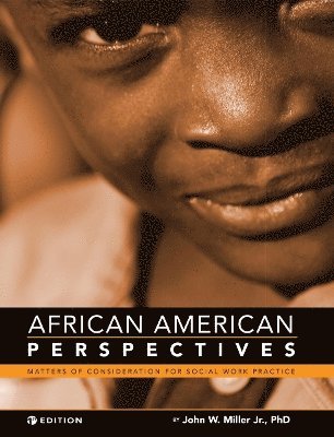 bokomslag African American Perspectives