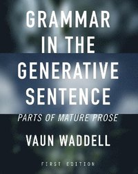 bokomslag Grammar in the Generative Sentence