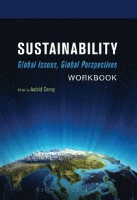 bokomslag Sustainability: Workbook