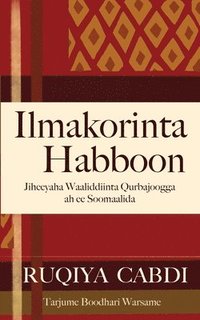 bokomslag Ilmakorinta Habboon