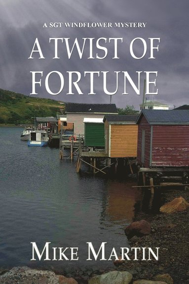 bokomslag Twist of Fortune