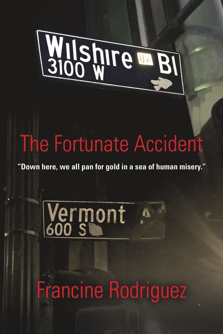 Francine Rodriguez - Fortunate Accident, Häftad. Tillgänglighet: Lägg i varukorg