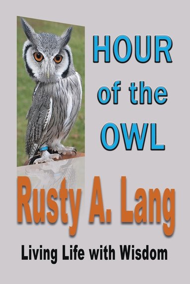 bokomslag Hour of the Owl
