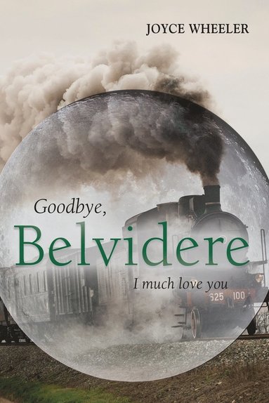 bokomslag Goodbye, Belvidere