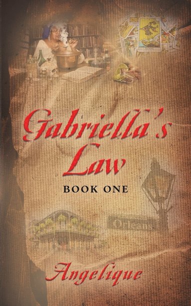 bokomslag Gabriella's Law Book One