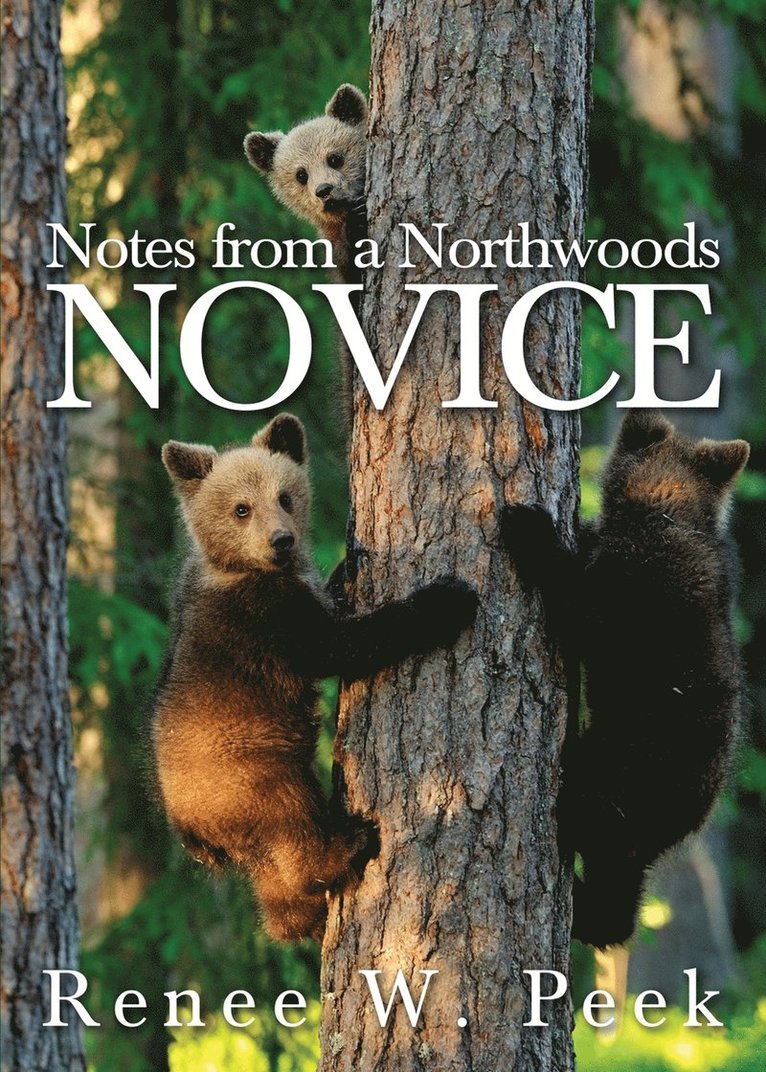 Notes from a Northwoods Novice 1