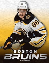 bokomslag Boston Bruins