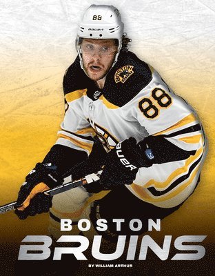 Boston Bruins 1