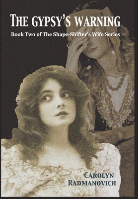 bokomslag The Gypsy's Warning: Book Two of The Shape-Shifter's Wife Series