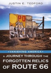 bokomslag Vanishing America