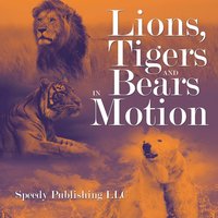 bokomslag Lions, Tigers And Bears In Motion