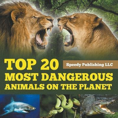 Top 20 Most Dangerous Animals On The Planet