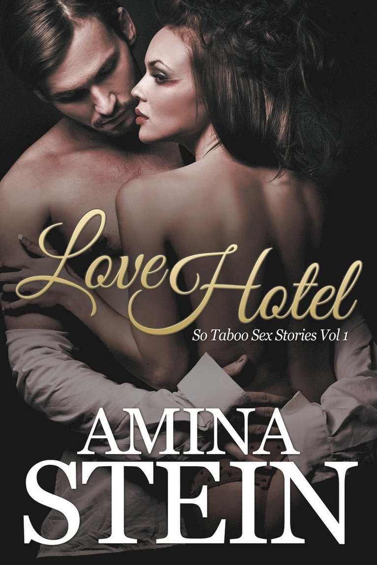 Amina Stein - Love Hotel, Häftad