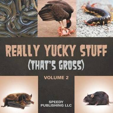 bokomslag Really Yucky Stuff (That's Gross Volume 2)