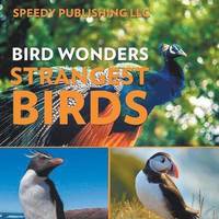 bokomslag Bird Wonders - Strangest Birds