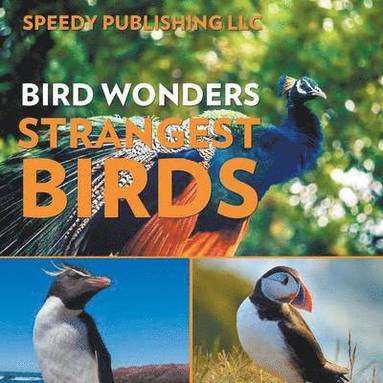 bokomslag Bird Wonders - Strangest Birds