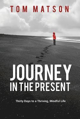 bokomslag Journey in the Present