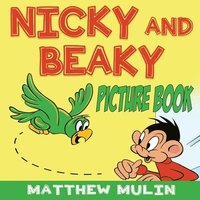 bokomslag Nicky and Beaky