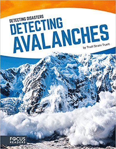 Detecting Avalanches