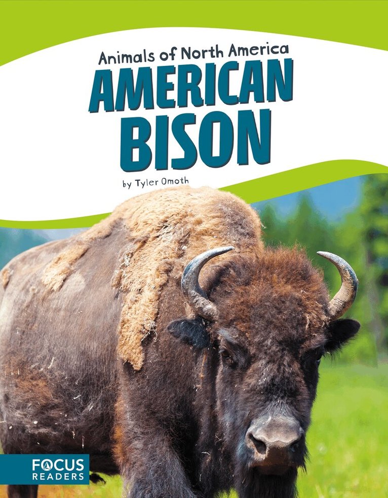 Tyler Omoth - American Bison, Inbunden